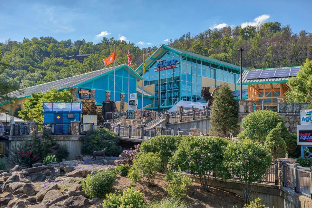 5Bd5B Escape Cabin With 2 Hottubs, Thtr &Game Rm,1Mi To The Parkway! 4Mi To Dollywood - Spring Deal Pigeon Forge Esterno foto